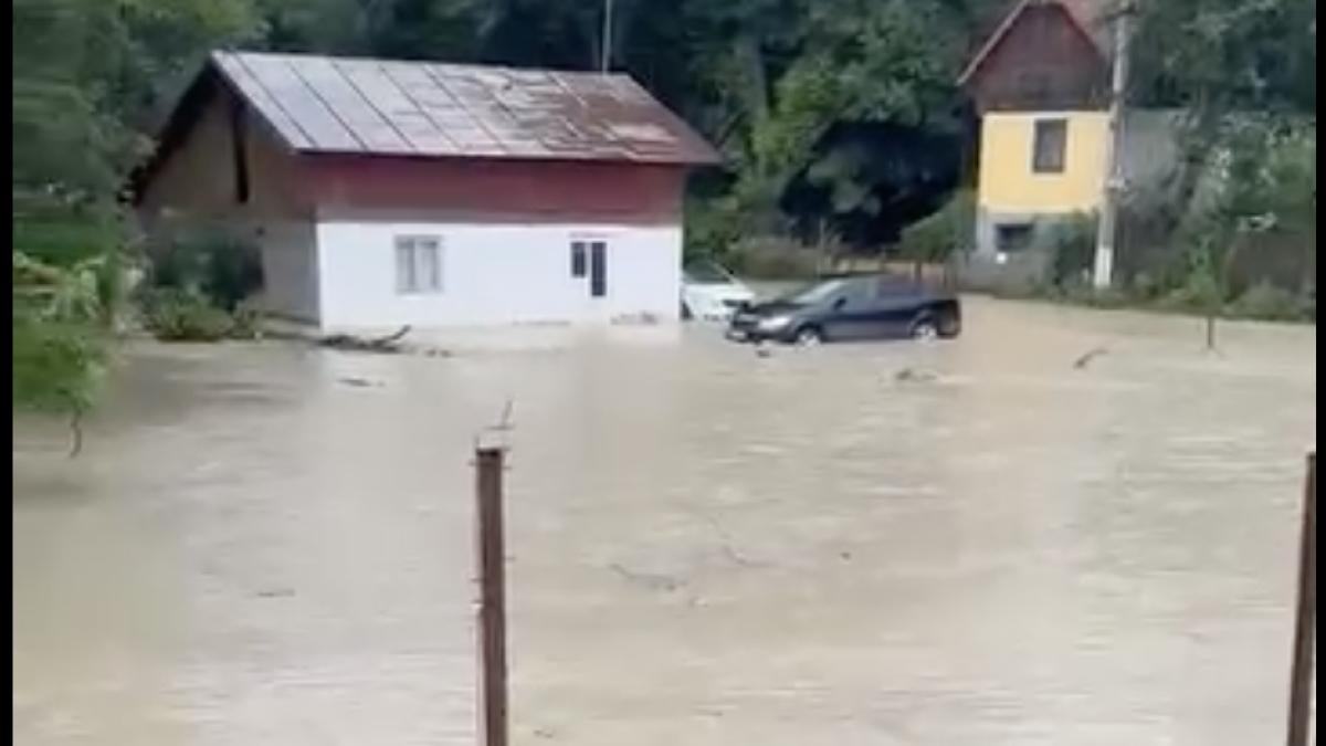 Viitura s-a mutat din Bușteni în Provița. Un pârâu aproape secat ieri a ieșit astăzi din albie