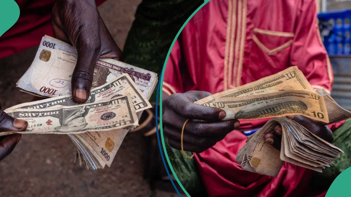 Find out more as dollar crashes to lowest level in 4 years, naira hits new high