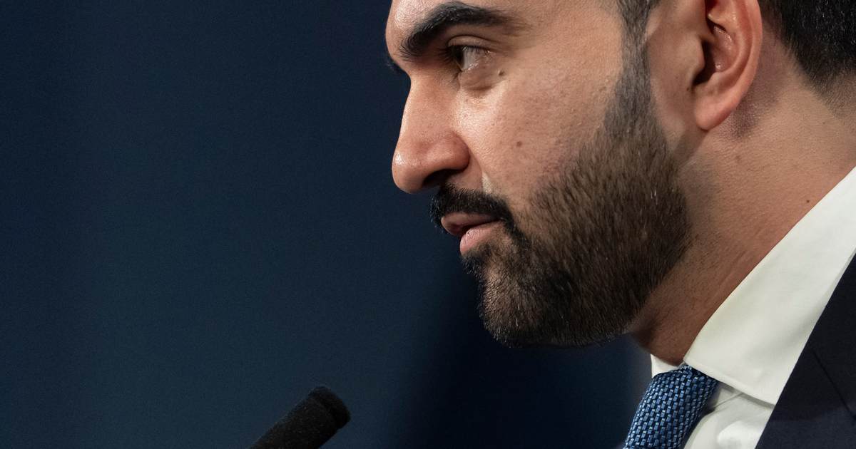 Dem Strategist Slams Mamdani for Doxxing Wealthy New Yorkers