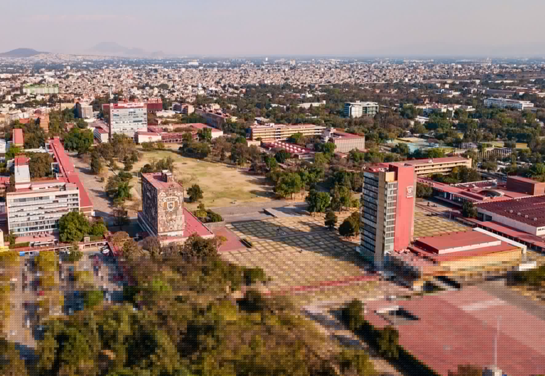 Ser universitario