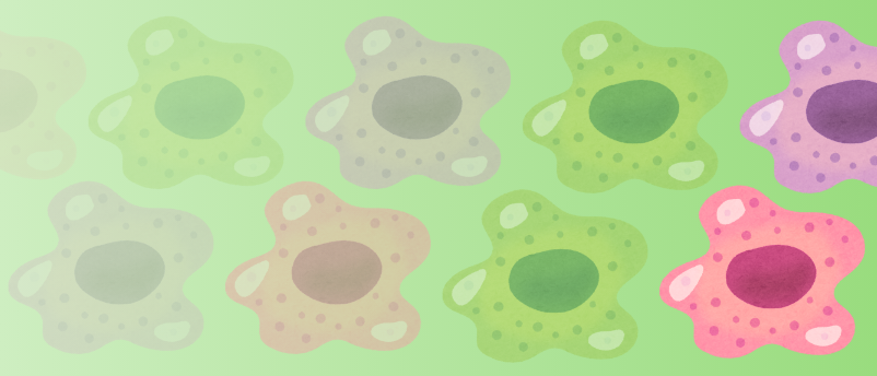 This key enzyme governs immune cell maturation and survival, influencing our understanding of aging and disease
