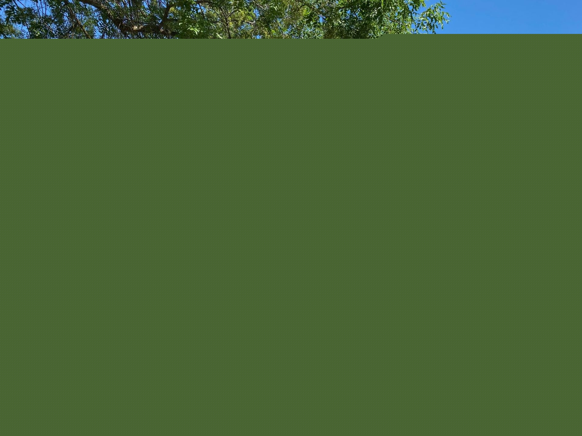 First Weekend of August Events
