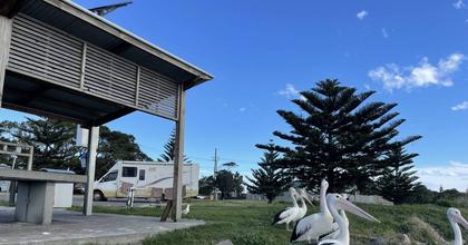 'Ugly, unfriendly and unsafe': campers raising eyebrows in Stockton