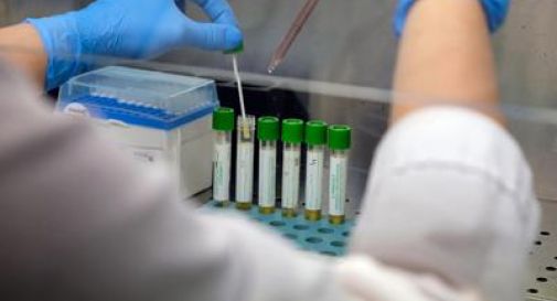 Medicina, italiani svelano errori nascosti nelle cellule: "Possibile ruolo in più malattie".