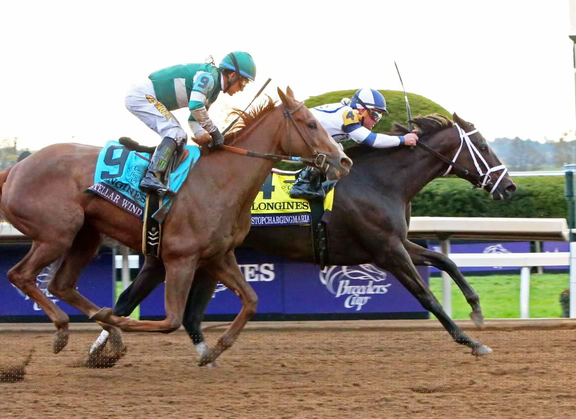 Wednesday’s Racing Insights: Pricey Gun Runner Filly Debuts in Spa Opener