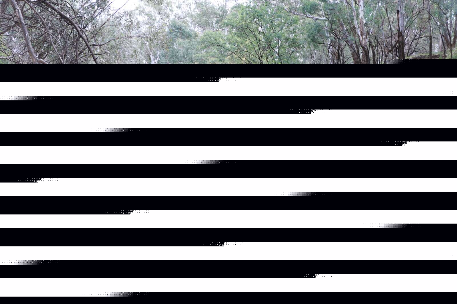 Goulburn River flood watch issued