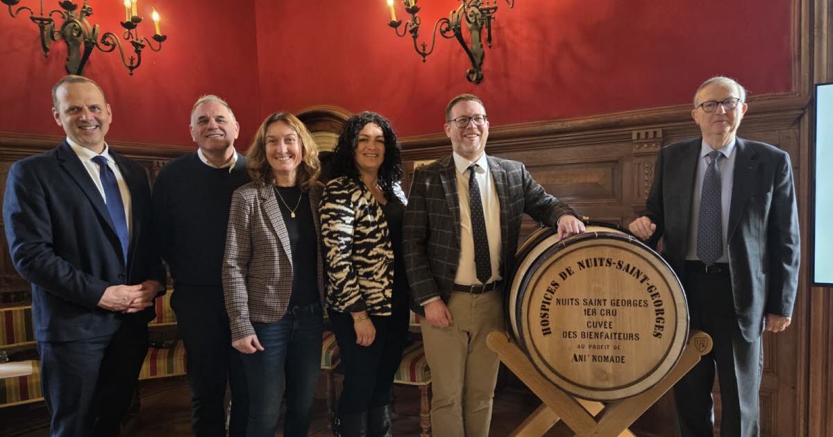 Nuits-Saint-Georges. Nouvelles étiquettes, nouvelles cuvées et 80,5 pièces : la 65e Vente des vins sous le signe du renouveau