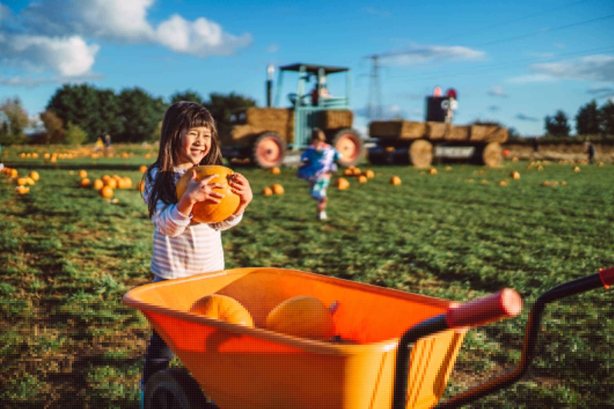 11 Places to Go Pumpkin Picking on the East End This Fall
