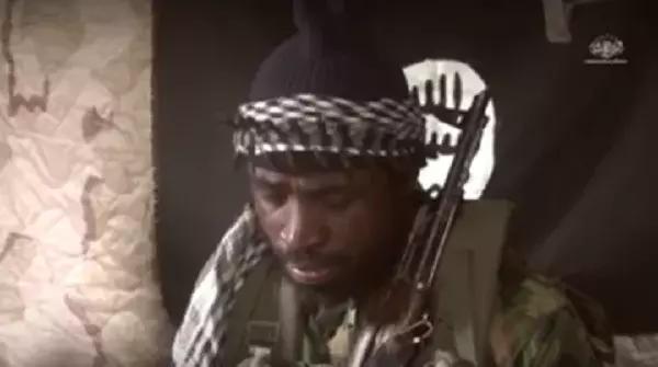 Abubakar Shekau’s Son Allegedly Joins Boko Haram Network