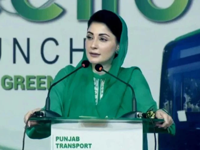 Maryam warns Sindh leaders of consequences over remarks against Punjab
