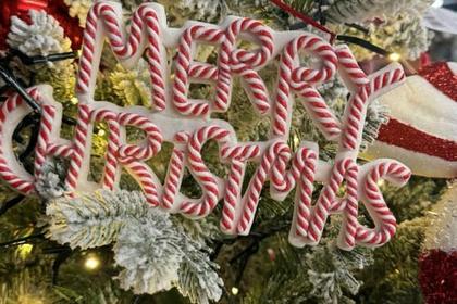 The countdown is on! Light up your Christmas with Tansley Barn Garden Centre