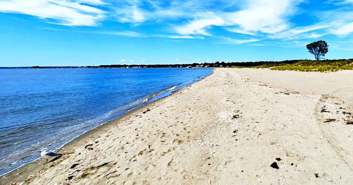 The Postcard-Worthy State Park In Connecticut That Feels Straight Out Of A Dream