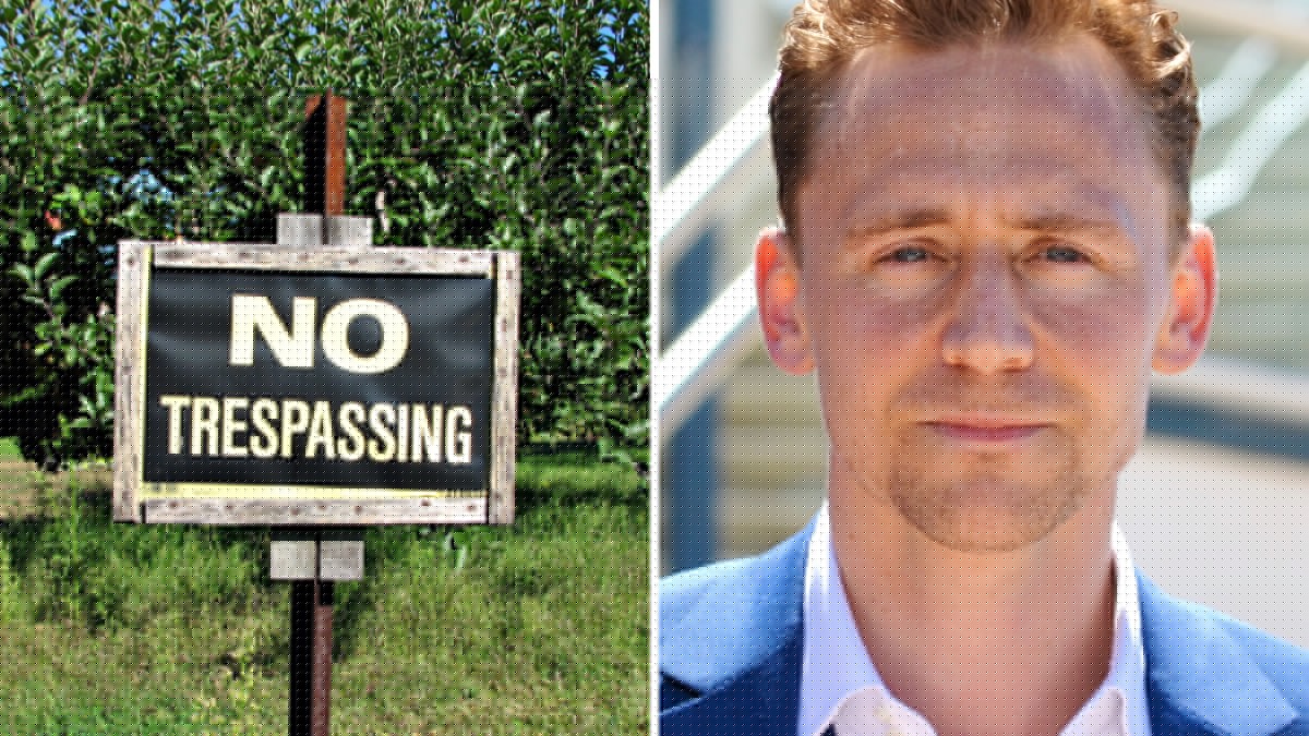 Dispute Erupts After Woman Asks for Neighbor’s Disney+ Password. Now, Allegedly, the Woman Is Charged With Trespassing Over a Crush on Tom Hiddleston