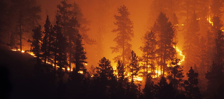 HHS Secretary declares public health emergency for wildfires in Washington