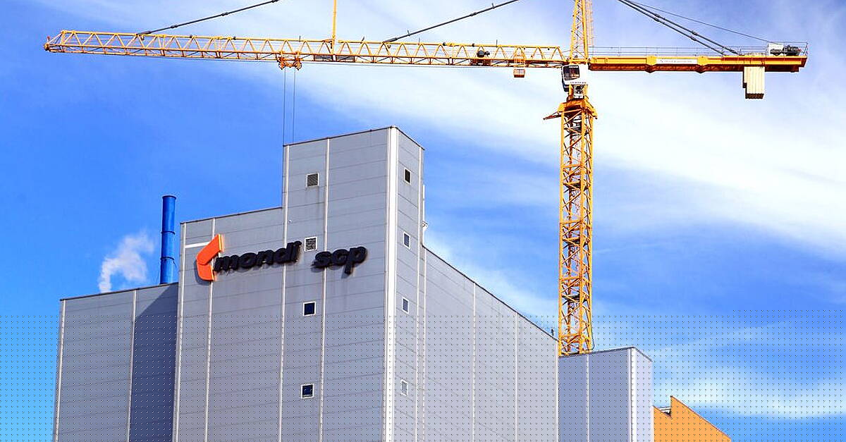Mondi H1 Underlying EBITDA Declines Amid Higher Input Costs