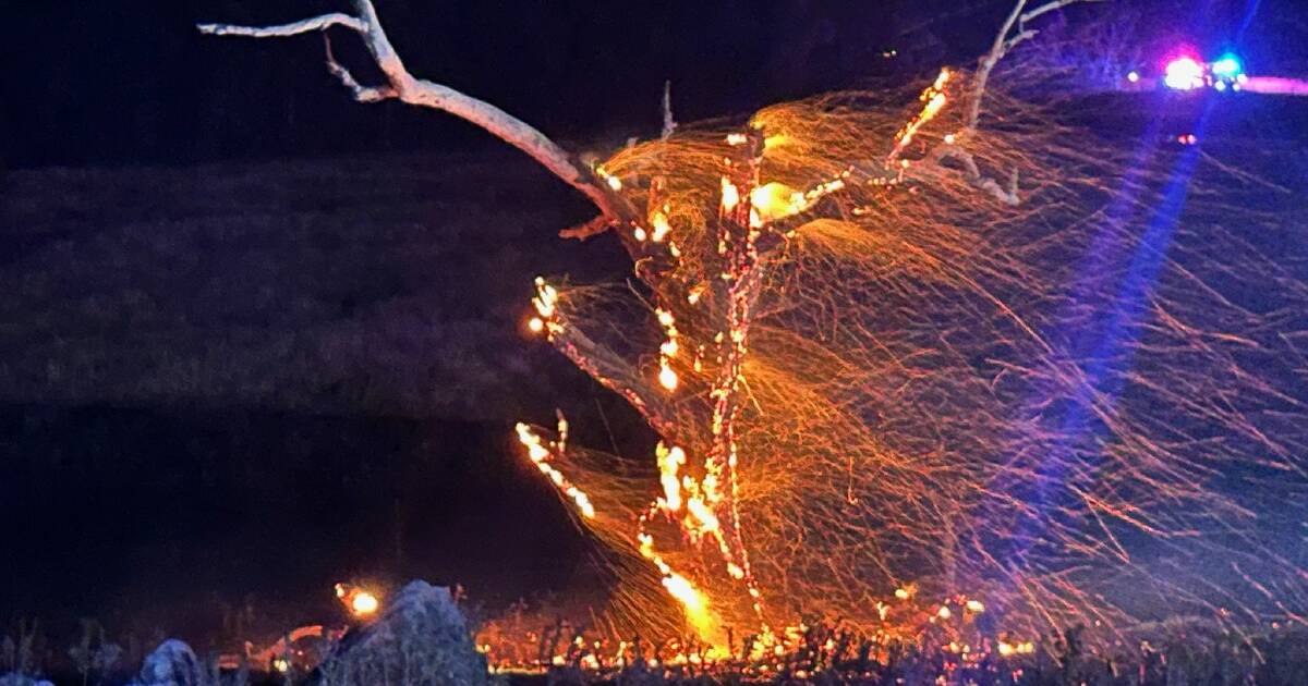 Grass fire burns through paddocks near Gungahlin overnight