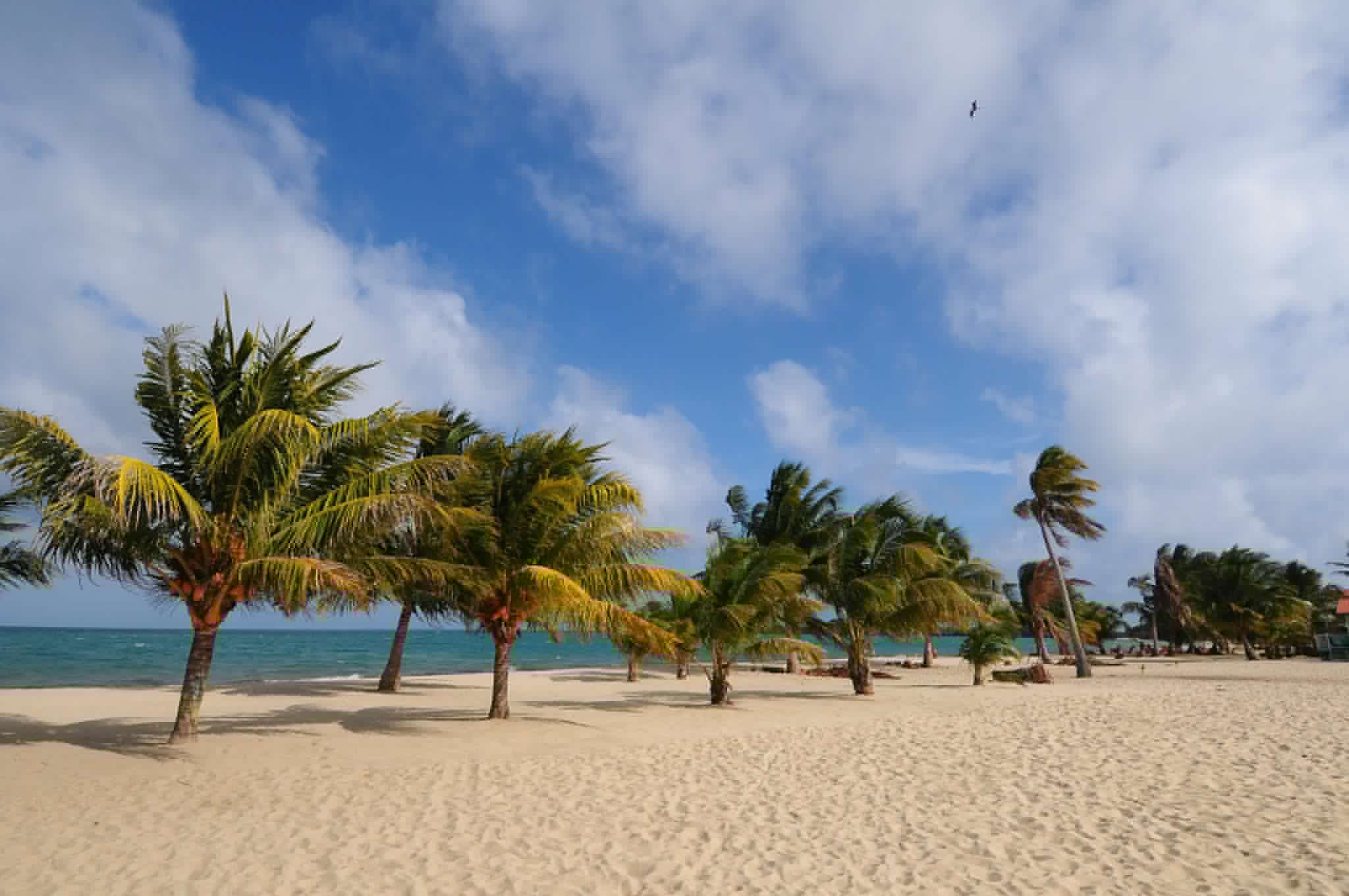 Comment on Belize Makes Lonely Planet’s List of Top 10 Places to Visit in 2019 by Clark