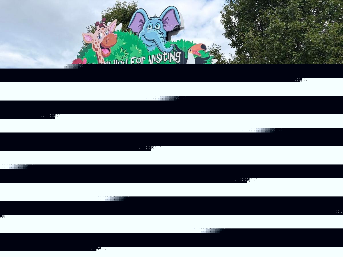 New Enhanced Communication For Visitors to Julie's Jungle