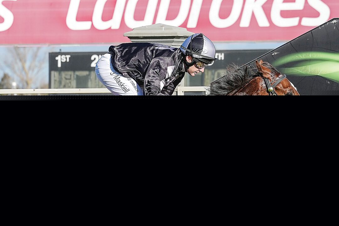 Local winner to end season