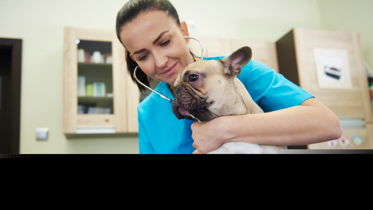 A-State opens first veterinary school in Arkansas