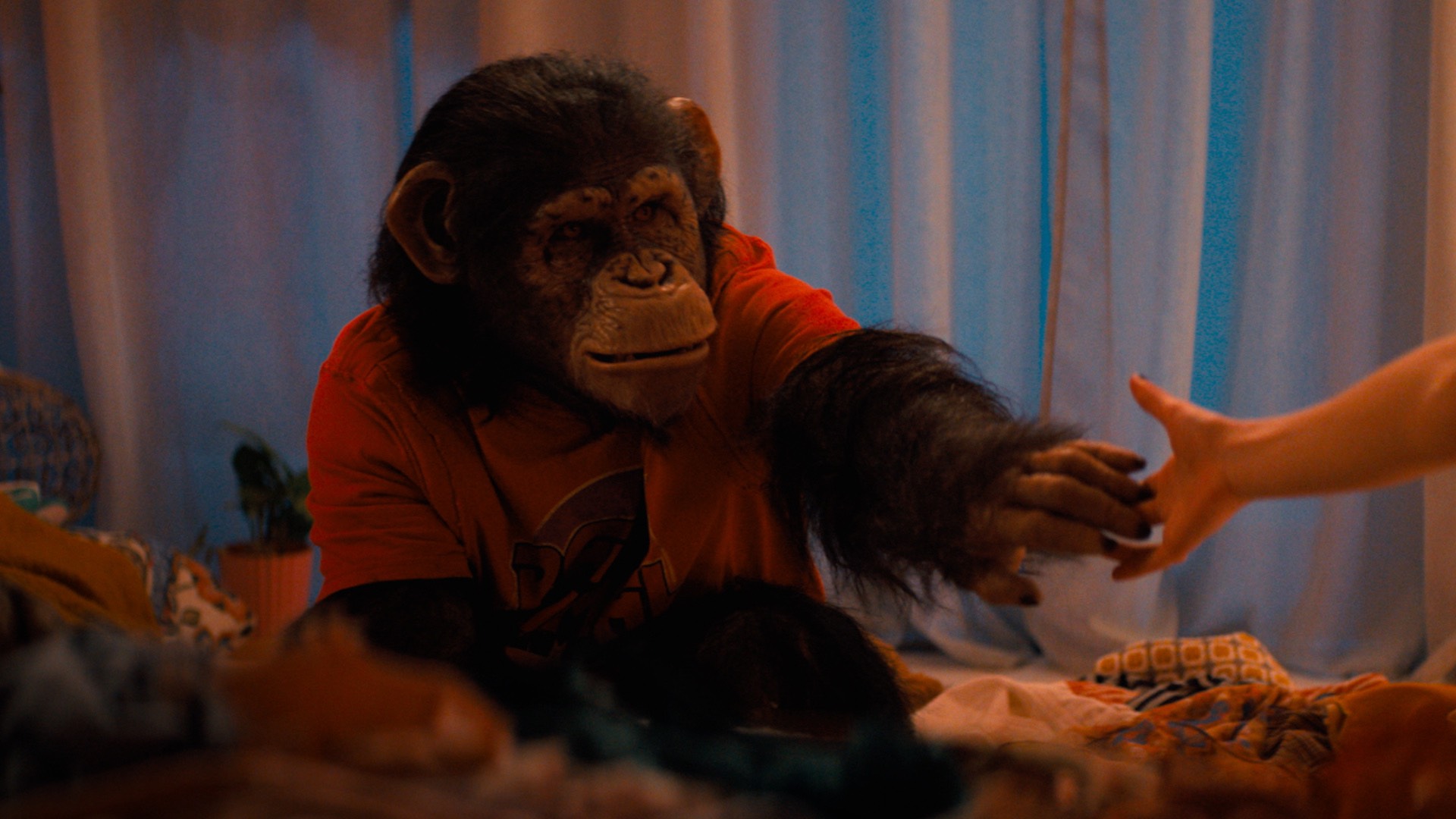 Primate review: A bananas thrill ride that apes horror conventions