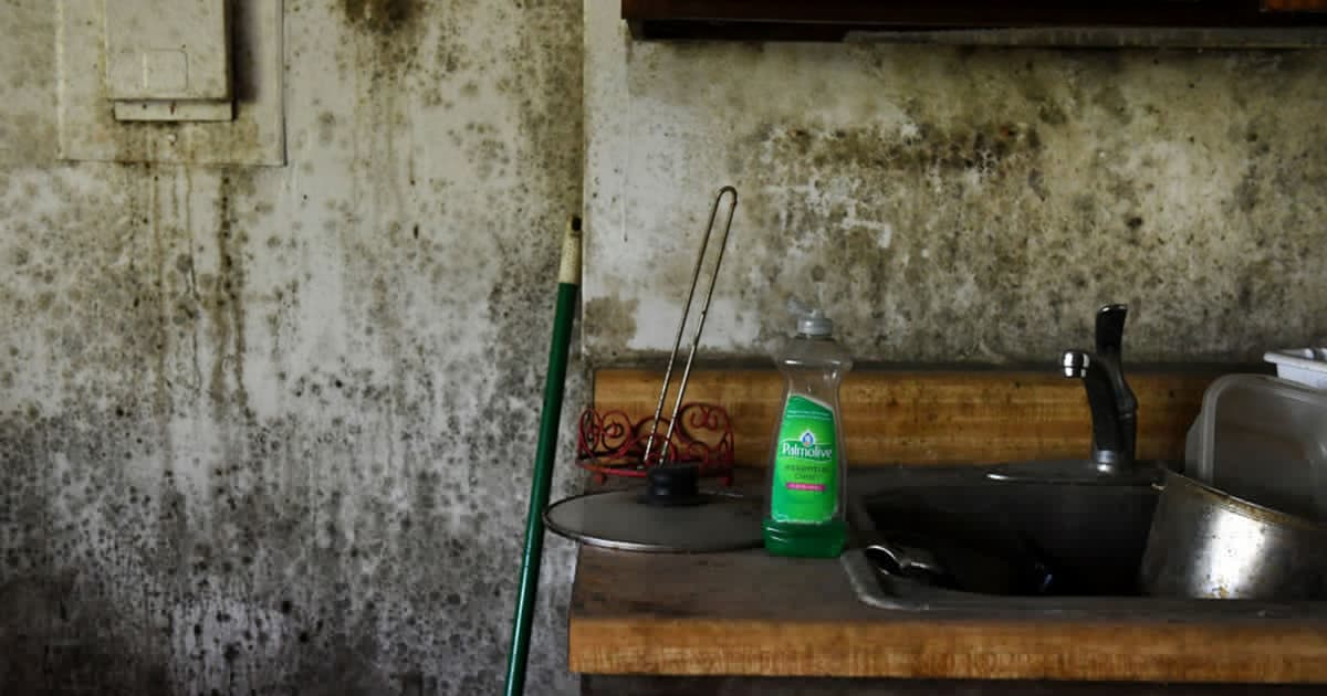 CDC study warns threat of deadly mold infections may be underestimated
