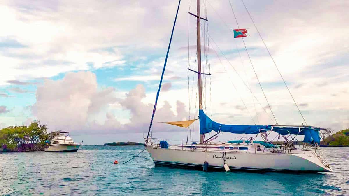 13 Best Puerto Rico Boat Tours (By a Local)