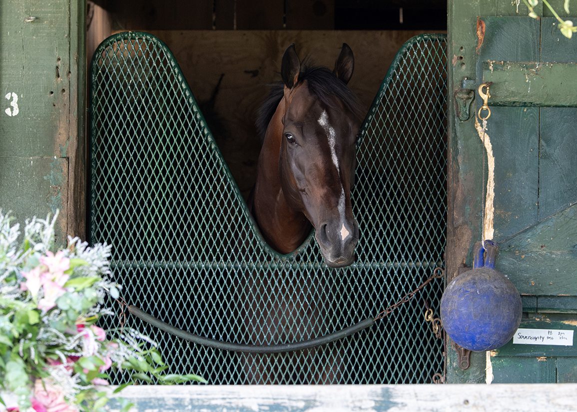 Saratoga Notebook, presented by NYRA Bets: Sovereignty Climbs Back Atop the Mountain