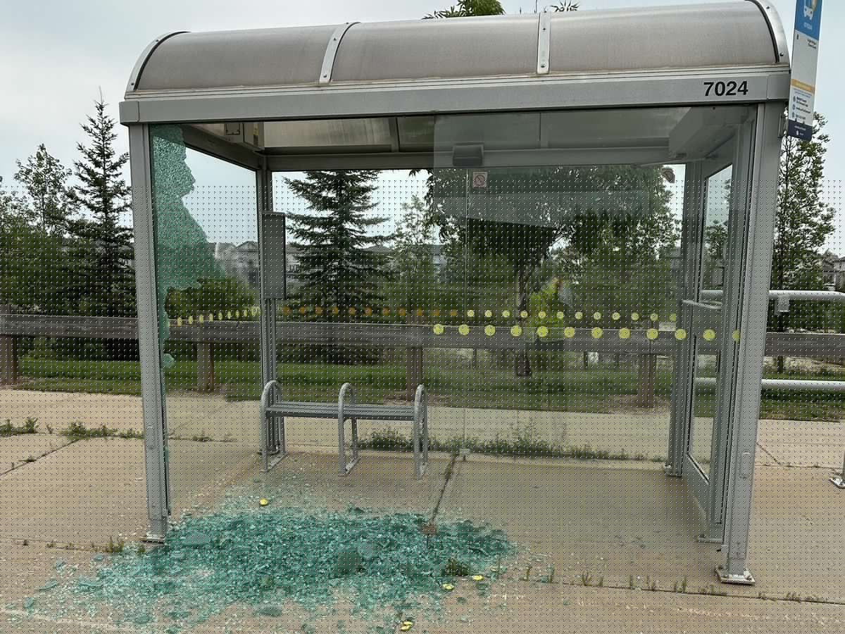 RCMP investigate vandalism after three Fort McMurray bus shelters damaged