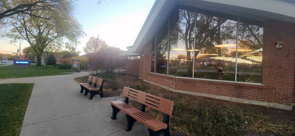 Celebrate Black History Month in February at the Park Forest Public Library