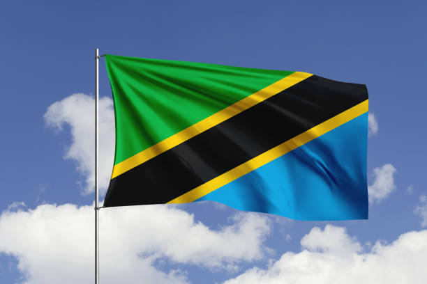 Critique: Tanzania has not been sleepwalking into global irrelevance