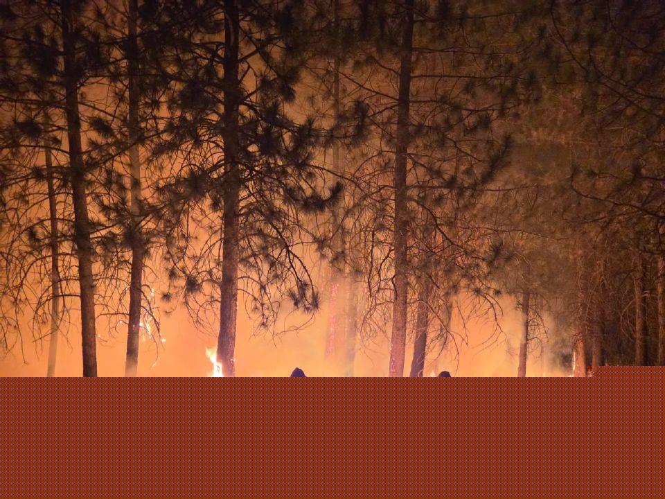 Ranchers among those affected by Spokane wildfires; 64,000 evacuated