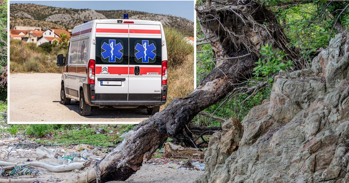 Horor na plaži u Hrvatskoj: Drvo od 14 metara palo na turiste, ima povređene dece, odmah prebačeni u bolnicu!