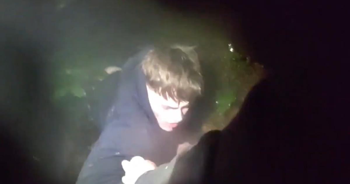 Watch as police dog catches prolific south Essex burglar