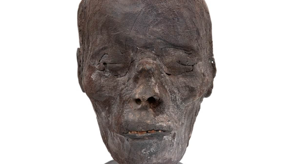 The REAL mummy's curse: Global trade in human heads could unleash ancient microbes on the world, scientists warn
