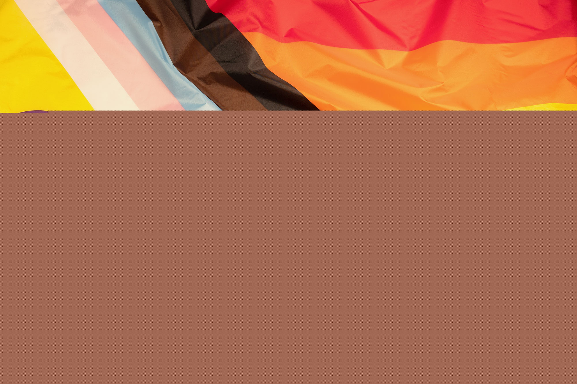 New Professional & Executive Development Program Develops LGBTQ+ Leaders