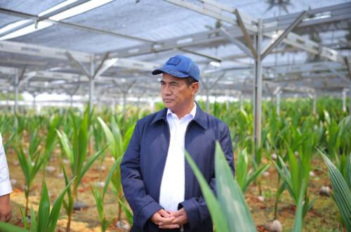 Mentan Siapkan Benih Unggul Gratis untuk 870 Ribu Hektare Perkebunan Nasional