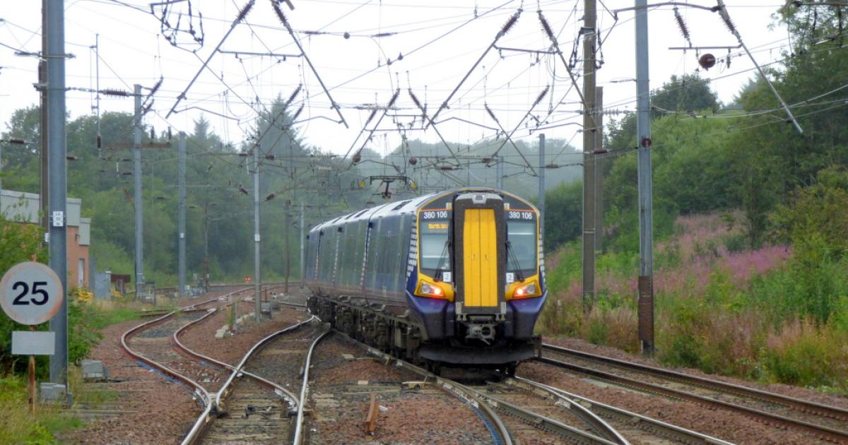 Woman banned from owning dogs after 'dangerous' pet mauled passenger on train