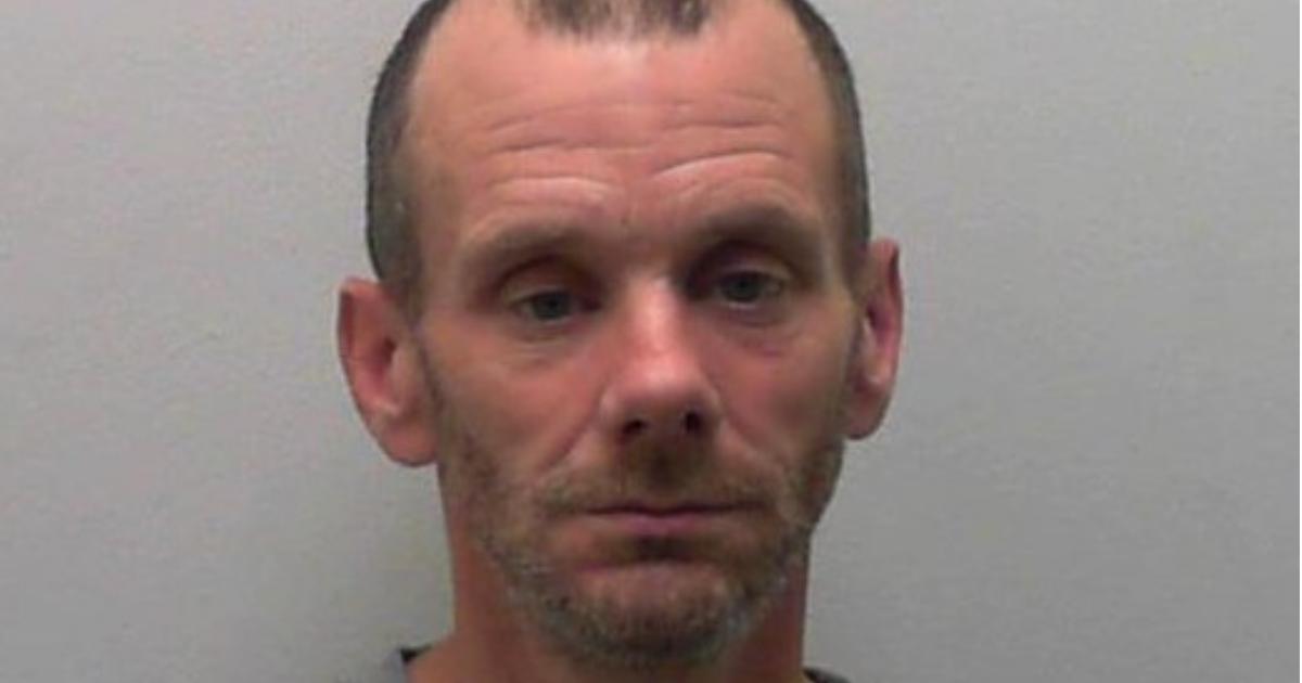 Thief carried out months-long crime spree across York after court set him free