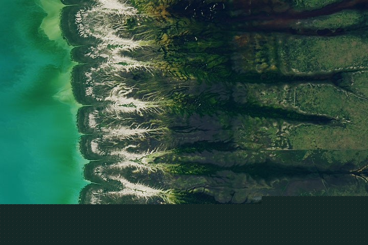 Bountiful Roebuck Bay