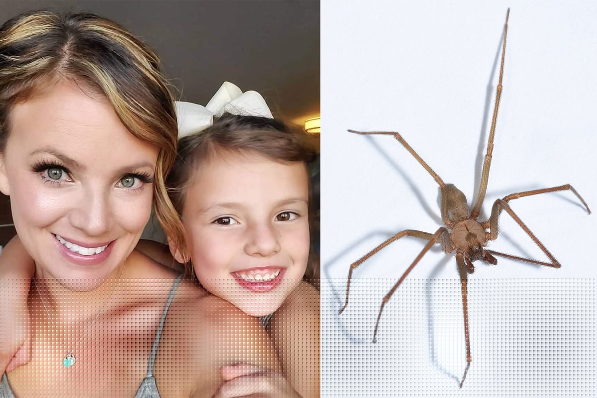 Kansas woman battles for her life after she was bitten by a spider