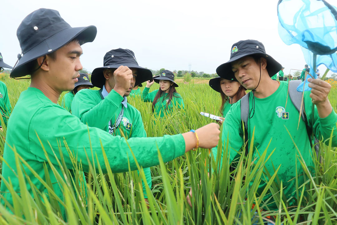 Agri extension services, co-op bills among priority measures