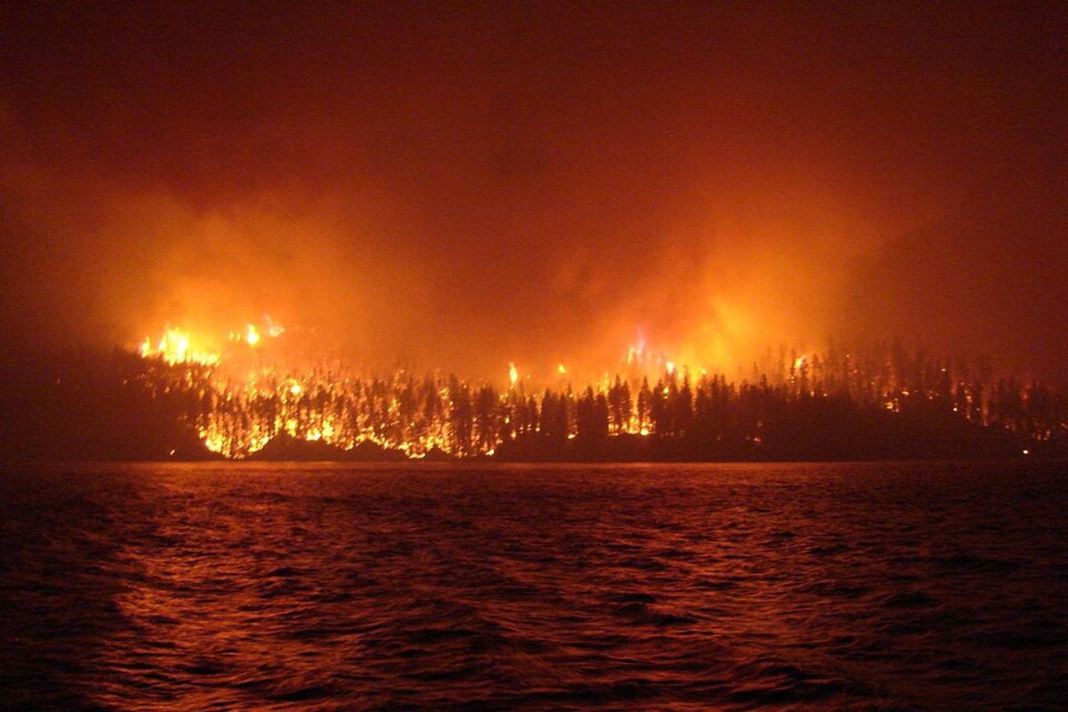 Don't Trust Your Sat-Nav: Fleeing Drivers Guided Into Path of Infernal BC Wildfire by Phone Apps