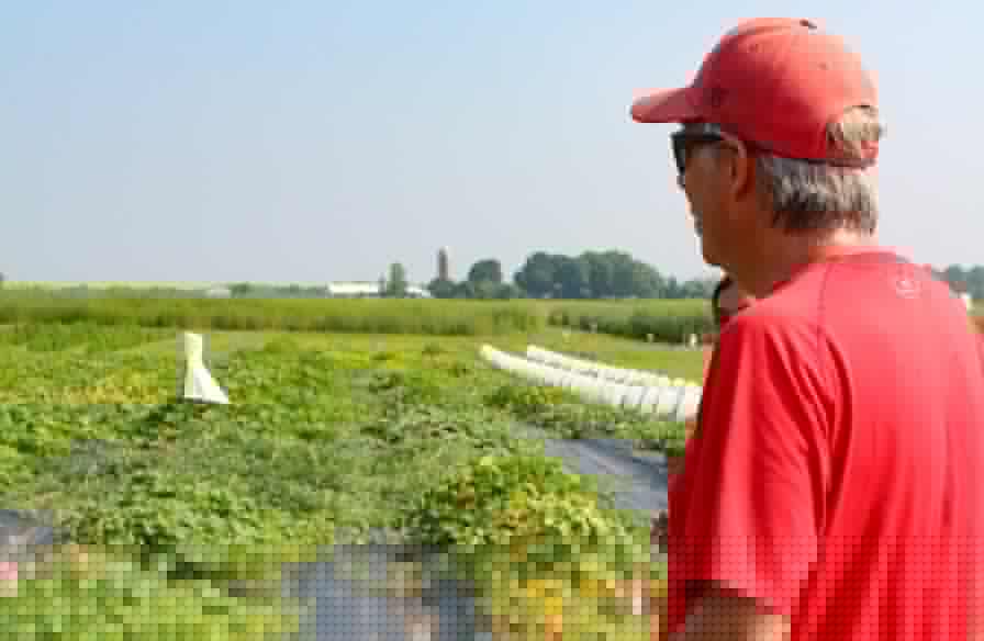 Why Managing Complexity Comes Naturally for Vegetable Growers