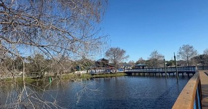 Winter Springs confirms bird flu outbreak after dead ducks found in Torcaso Park
