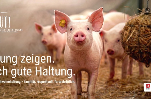 Erste nationale Plakatkampagne für SAUGUT!