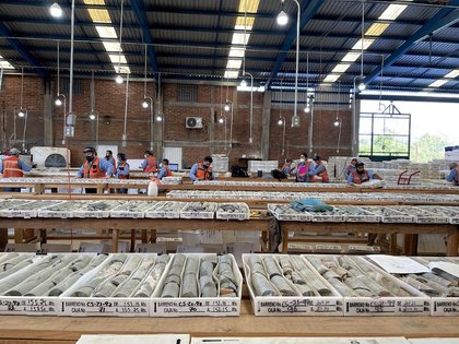 Vizsla Silver says 10 employees abducted in Sinaloa, Mexico