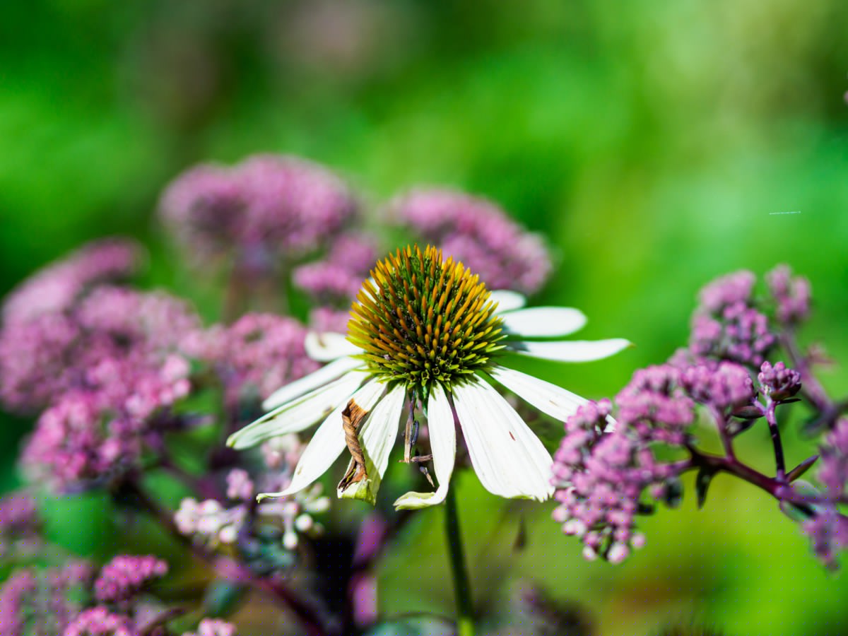 Today’s images