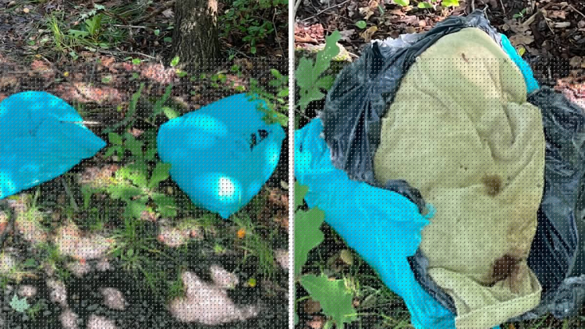 $5,000 reward offered to find whoever dumped 2 dead pitbulls in Wolcott