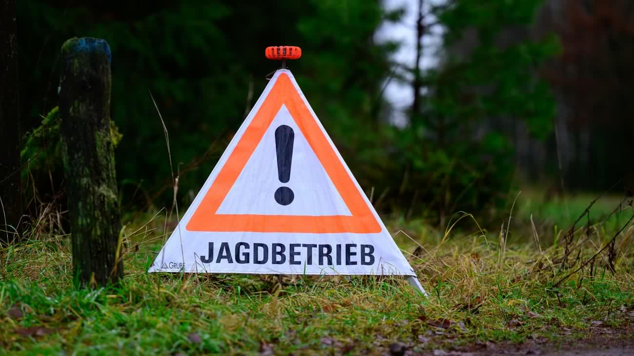 Urteil nach Jagdunfall: Anwohnerin im Garten von Kugel getroffen – Jäger verurteilt